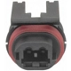 Purchase Top-Quality Water In Fuel Sensor Connector by BLUE STREAK (HYGRADE MOTOR) - S1958 pa7