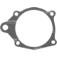 Purchase Top-Quality Water Pump Mounting Gasket by VICTOR REINZ - 71-14658-00 pa1
