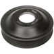 Purchase Top-Quality Water Pump Pulley by DORMAN - 300-396 pa3