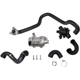 Purchase Top-Quality Water Pump Seal Kit by CRP/REIN - WPS0503 pa2