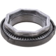 Purchase Top-Quality DANA SPICER - 47858 - Spindle Nut pa1
