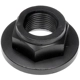 Purchase Top-Quality DORMAN - 615-004.1 - Spindle Nut pa1