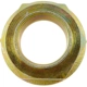 Purchase Top-Quality Wheel Axle Spindle Nut by DORMAN (OE SOLUTIONS) - 6151101 pa1