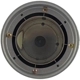 Purchase Top-Quality Wheel Cap by DORMAN (OE SOLUTIONS) - 909-035 pa1