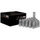 Purchase Top-Quality WEST COAST WHEEL ACCESSORIES - W5612ST - Bulge Acorn Spline Lug Nuts pa1