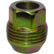 Purchase Top-Quality FMSI AUTOMOTIVE HARDWARE - 3855-25 - Solid Steel Wheel Nut pa2