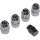 Purchase Top-Quality DORMAN/AUTOGRADE - 711-321 - Wheel Lock Set pa1