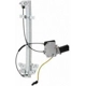 Purchase Top-Quality Window Reg With Motor by CONTINENTAL - WL41050 pa1