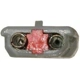 Purchase Top-Quality Window Reg With Motor by CONTINENTAL - WL43101 pa2
