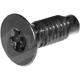 Purchase Top-Quality Windshield Hinge Screw by CROWN AUTOMOTIVE JEEP REPLACEMENT - 6035757 pa2