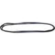 Purchase Top-Quality Windshield Seal by CROWN AUTOMOTIVE JEEP REPLACEMENT - 55176430AD pa1