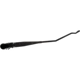 Purchase Top-Quality DORMAN - 42590 - Windshield Wiper Arms pa3