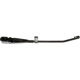 Purchase Top-Quality Wiper Arm by DORMAN - 43541 pa2