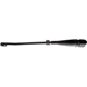 Purchase Top-Quality Wiper Arm by DORMAN - 43541 pa3