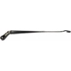 Purchase Top-Quality Wiper Arm by DORMAN/HELP - 42538 pa1