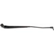 Purchase Top-Quality Wiper Arm by DORMAN/HELP - 42553 pa1