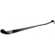 Purchase Top-Quality Wiper Arm by DORMAN/HELP - 42553 pa3