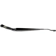 Purchase Top-Quality Wiper Arm by DORMAN/HELP - 42563 pa2