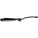 Purchase Top-Quality Wiper Arm by DORMAN/HELP - 42589 pa4