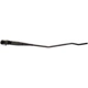 Purchase Top-Quality Wiper Arm by DORMAN/HELP - 42590 pa1