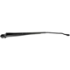 Purchase Top-Quality Wiper Arm by DORMAN/HELP - 42595 pa4