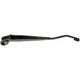 Purchase Top-Quality Wiper Arm by DORMAN/HELP - 42605 pa1
