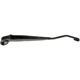 Purchase Top-Quality Wiper Arm by DORMAN/HELP - 42605 pa5