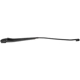 Purchase Top-Quality Wiper Arm by DORMAN/HELP - 42619 pa1