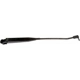 Purchase Top-Quality Wiper Arm by DORMAN/HELP - 42620 pa1