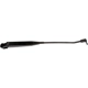 Purchase Top-Quality Wiper Arm by DORMAN/HELP - 42620 pa5