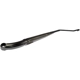 Purchase Top-Quality Wiper Arm by DORMAN/HELP - 42639 pa6