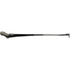 Purchase Top-Quality Wiper Arm by DORMAN/HELP - 42807 pa6
