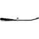 Purchase Top-Quality Wiper Arm by DORMAN/HELP - 43541 pa2