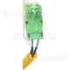 Purchase Top-Quality Interrupteur d'essuie-glace de BLUE STREAK (HYGRADE MOTOR) - CBS1362 pa3