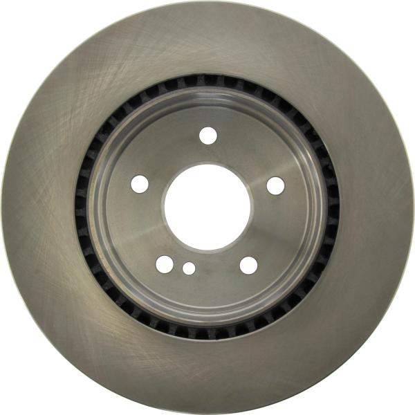Rear Disc Brake Rotor