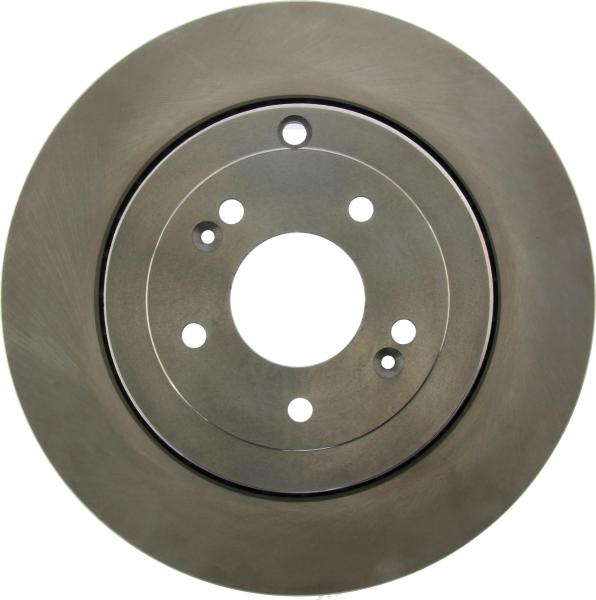 Rear Disc Brake Rotor