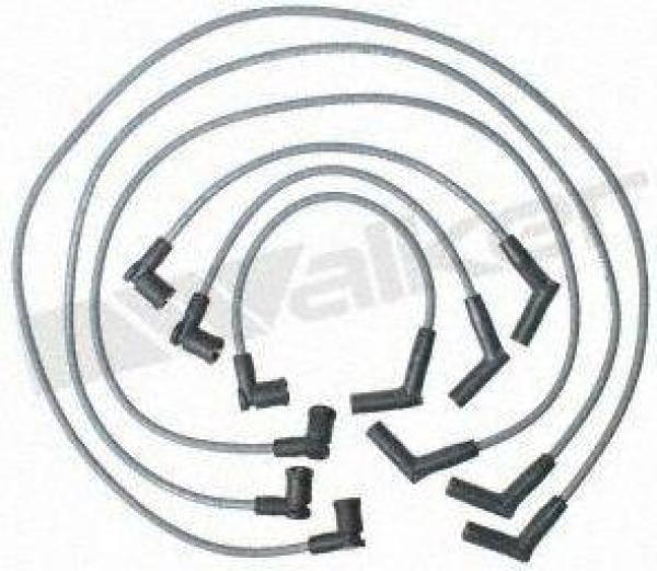 Tailored Resistor Ignition Wire Set 9242023 by WALKER PRODUCTS on