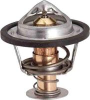 195f Original Equipment Thermostat
