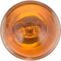 Auto Transmission Indicator (Pack of 10)