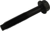 Body Bolt
