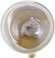 Clock Light (Pack of 10)