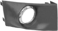 Driver Side Fog Lamp Cover FO2598101