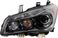 Driver Side Headlamp Assembly Composite