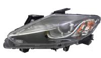 Driver Side Headlamp Lens/Housing