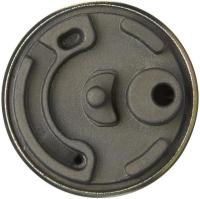 Electric Fuel Pump