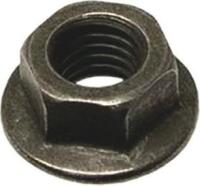 Exhaust Nut (Pack of 50) by WALKER USA