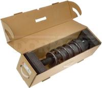 Front Complete Strut Assembly