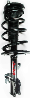 Front Complete Strut Assembly