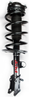 Front Complete Strut Assembly
