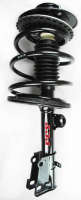 Front Complete Strut Assembly
